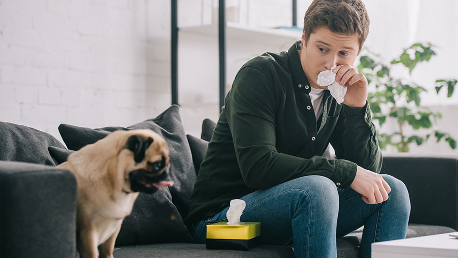 Getting an air purifier is one of the top approaches to improve your house’s indoor air quality. Find out more about the three smartest products. 